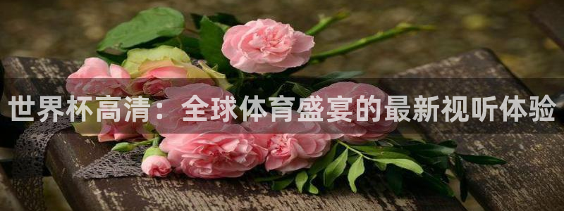 2026世界杯官网入口：世界杯高清：全球体育盛宴的最新视听体验