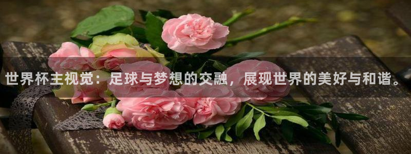 国际足联世界杯：世界杯主视觉：足球与梦想的交融，展现世界的美好与和谐。