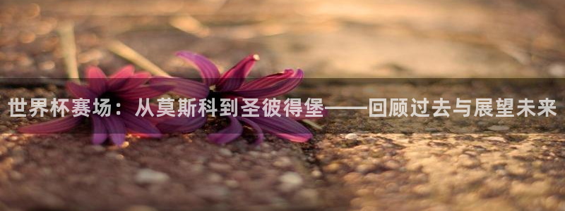 2026世界杯直播免费观看：世界杯赛场：从莫斯科到圣彼得堡——回顾过去与展望未来