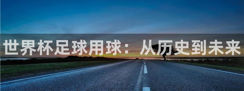 世界杯预选赛欧洲区赛程：世界杯足球用球：从历史到未来