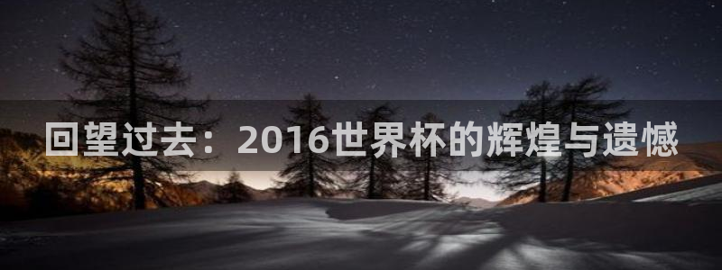 2026世界杯足球赛程时间表：回望过去：2016世界杯的辉煌与遗憾