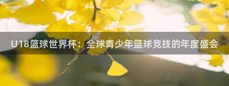 世界杯预选赛欧洲区赛程：U18篮球世界杯：全球青少年篮球竞技的年度盛会