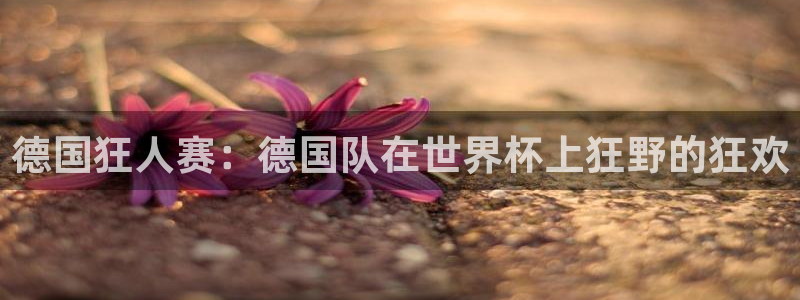 2026年世界杯赛程表时间：德国狂人赛：德国队在世界杯上狂野的狂欢