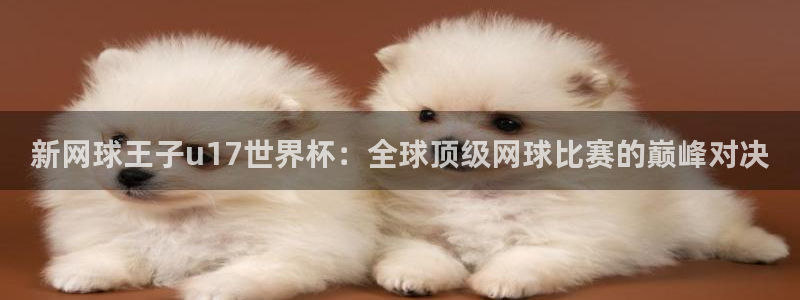 美洲杯直播：新网球王子u17世界杯：全球顶级网球比赛的巅峰对决