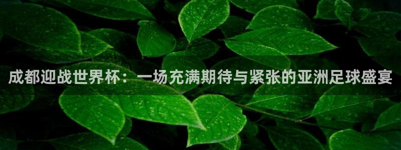 2026世界杯直播免费观看：成都迎战世界杯：一场充满期待与紧张的亚洲足球盛宴