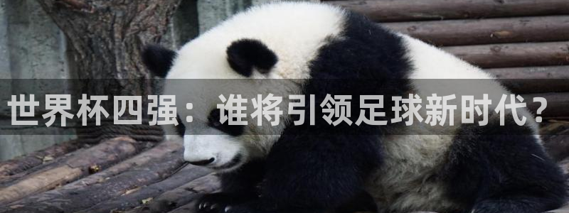 2026足球世界杯赛程时间表：世界杯四强：谁将引领足球新时代？